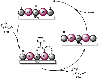 the example of catalysis, hydrogenation