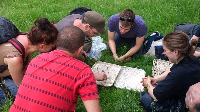 Kieron demonstrates how to relax and straigten earthworms for easier identification