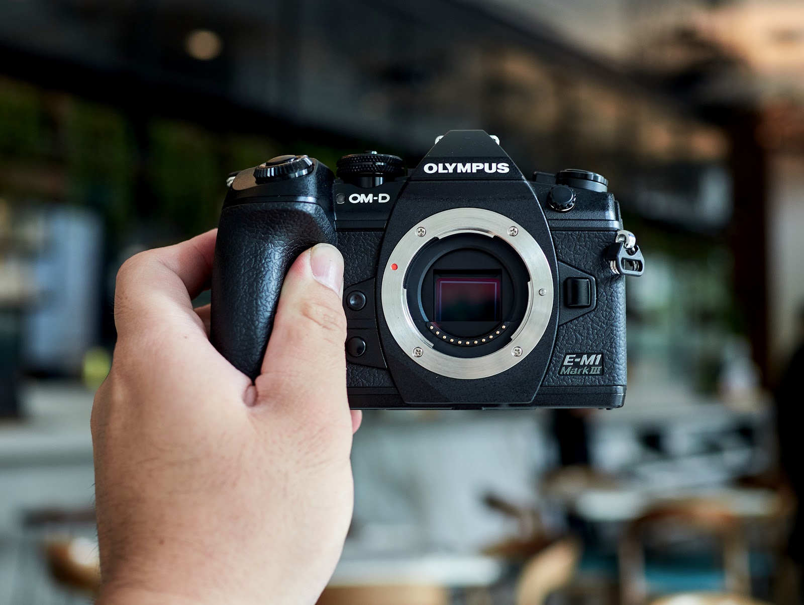 Olympus Om D E M1 Mark Iii Review Robin Wong