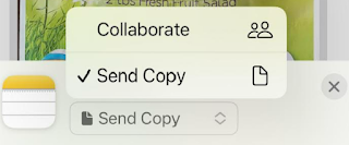 iPhone Notes App Send Copy