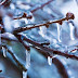 Top 20 Songs About Ice and Frozen Water