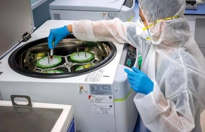 UAE begins its  production of CAR T-cell immune cell therapy