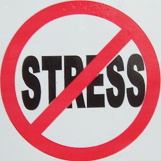 How to Recognize and Handle the Stress, Types of Stress, INTRODUCTION, DEFINING STRESS, HOW TO HANDLE STRESS, RECOGNIZING STRESS, THE MILITARY AND STRESS, How to Recognize and Handle the stress, stress, work, workplace, handle, RECOGNIZING, military, solution, health, stop stressing, SUMMARY,