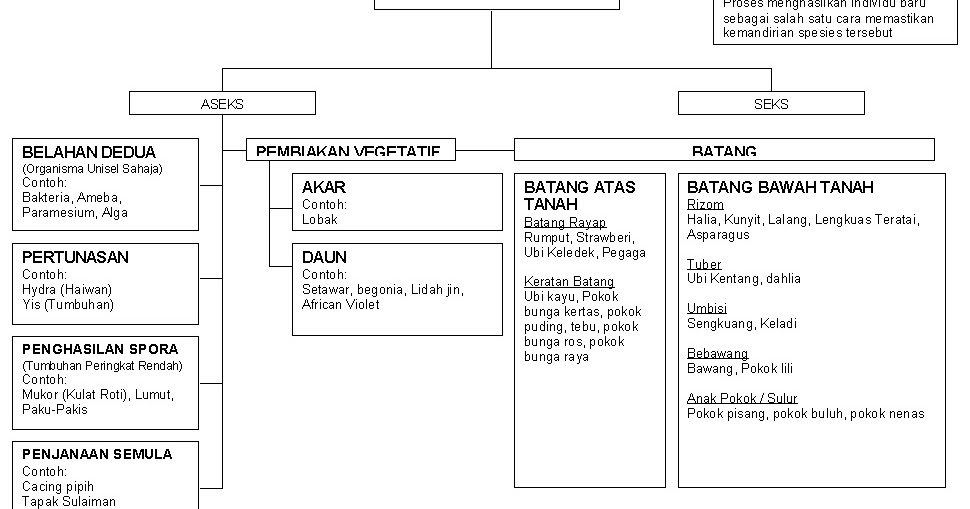 SAINS TINGKATAN 3: PETA MINDA PEMBIAKAN ASEKS