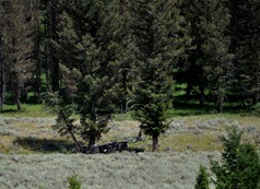 DSC_0072
