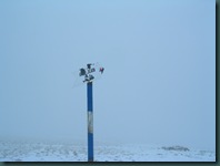 DSCN7765