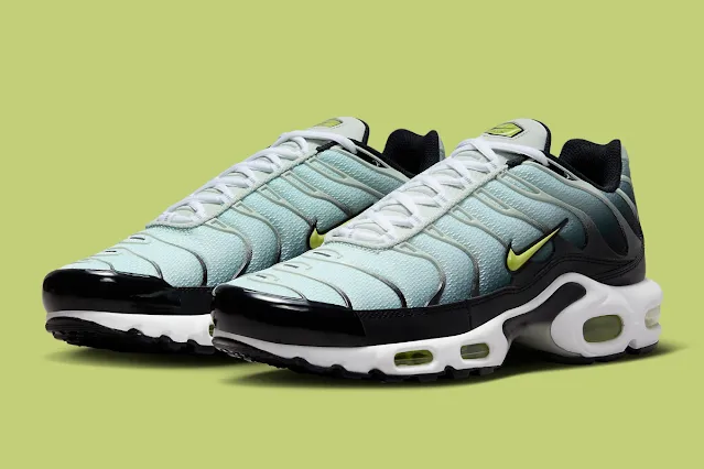 Nike Air Max Plus