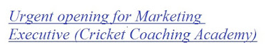  Urgent opening for Marketing Executive (Cricket Coaching Academy)