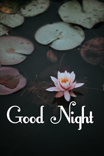 Latest Best Good Night Images