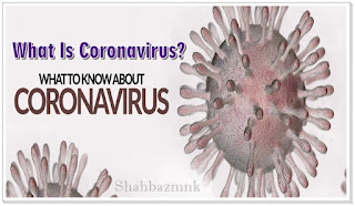 What Is Coronavirus? 
