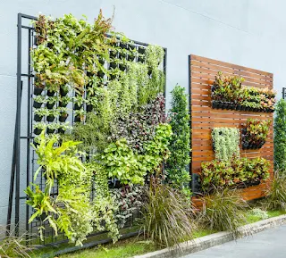 Vertical gardens for urban landscaping