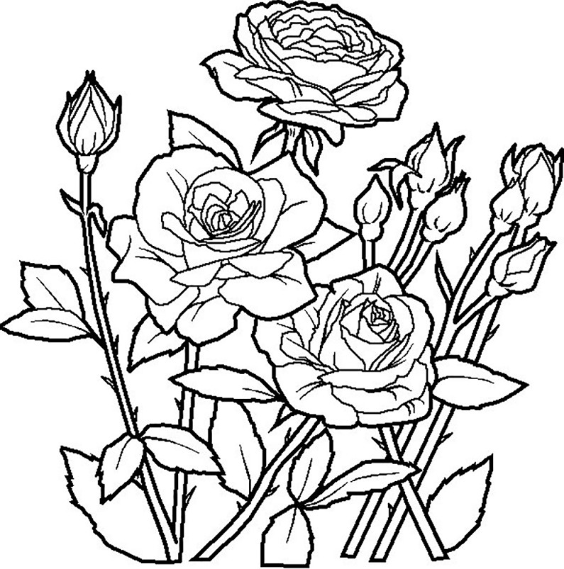 Gambar Mewarnai Bunga Matahari,Mawar,Tulip,Melati 