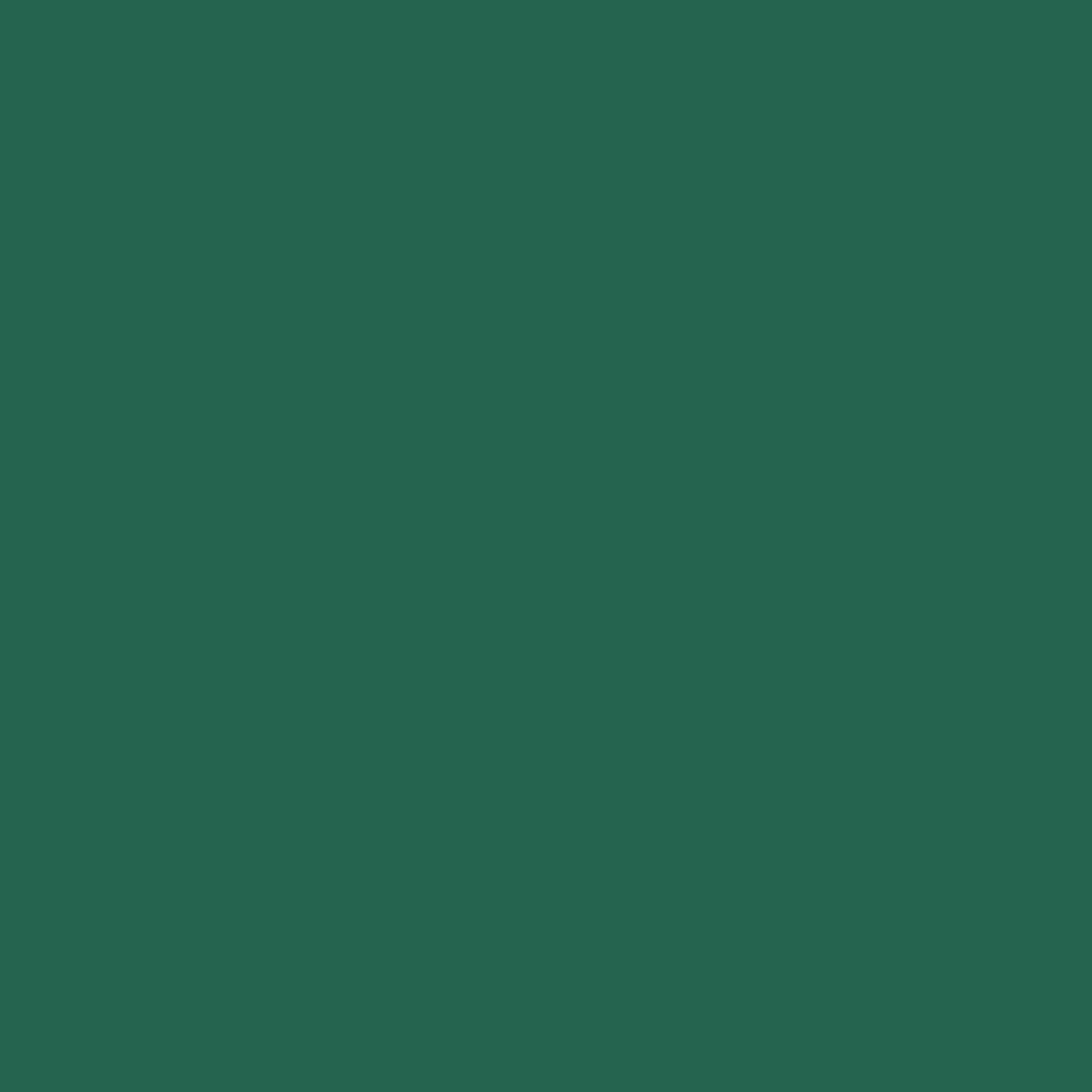 Custom Ink Sports Teams Color Palette Michigan State Spartans