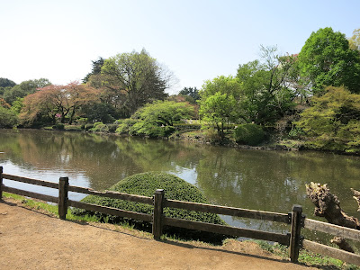 Tokyo garden