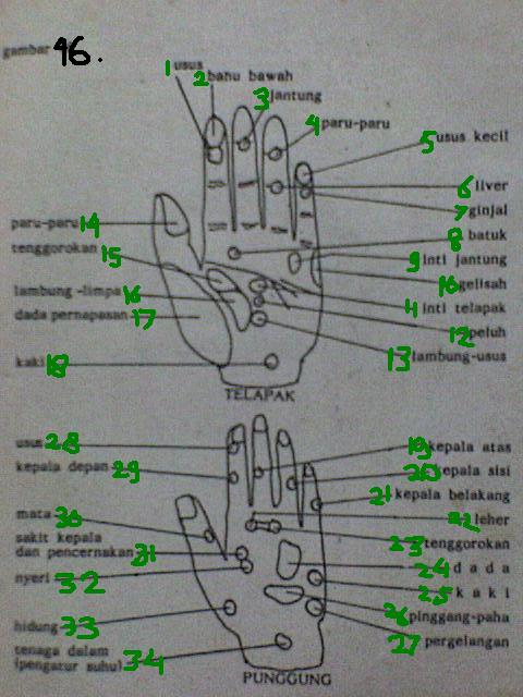 Titik Refleksi pada Tangan  Ilmu Pengetahuan Tak Berbatas 