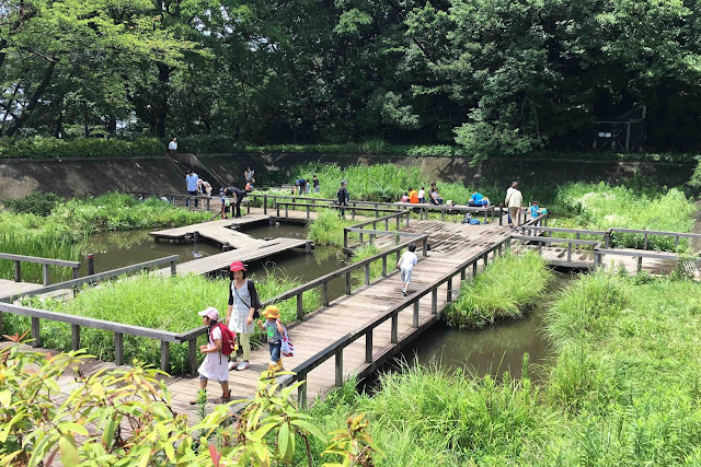 東京で発見した古墳と古墳群。そして浄水場跡を利用した多摩川台公園【c】　 調布浄水場跡　多摩川台公園