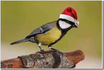 navidad1