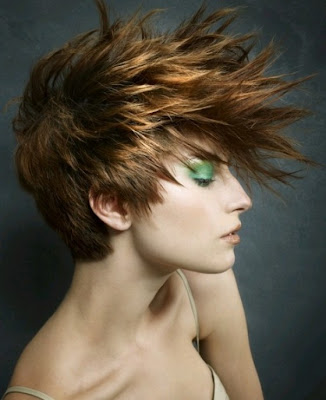 2011 Hairstyles For Women - Hair Trends