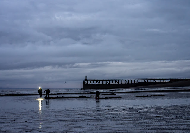 Photo of fishermen digging for bait on the shore at Maryport at low tide