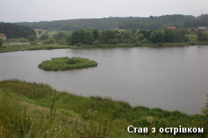 Острів на ставку у Свіржі