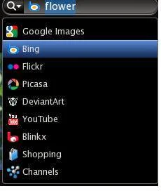 Image Search for Different Search Engines and picture hosting