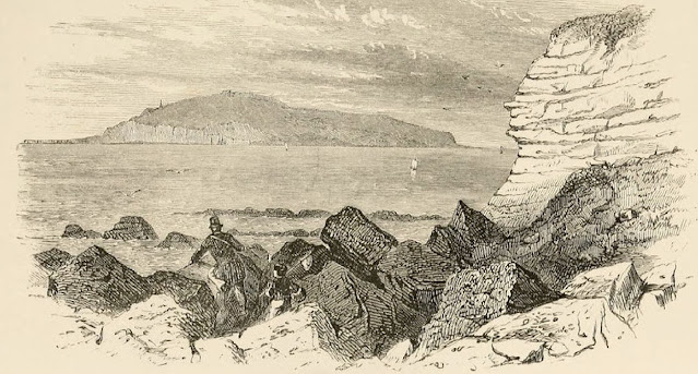 Иллюстрация из  «Аквариума» (1856 г., 2-е издание).