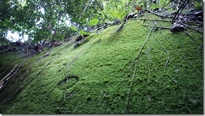 DSC00544