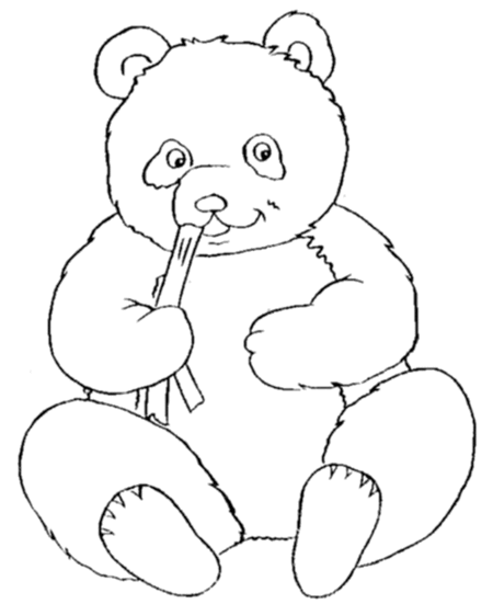 Bear Coloring Pages For Kids