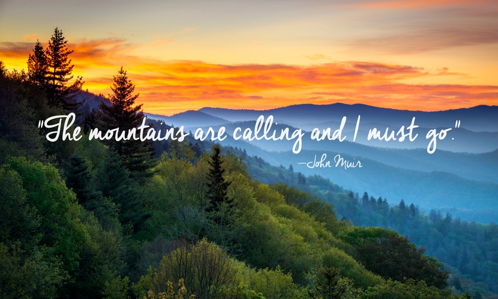 50 Best Nature Captions for Instagram Travelers around the World