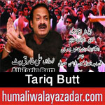 http://www.humaliwalayazadar.com/2016/08/tariq-butt-nohay-2011-to-2017.html