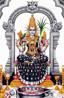 Kamakshi 