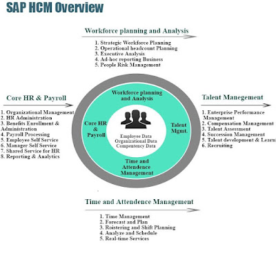 SAP HCM Overview