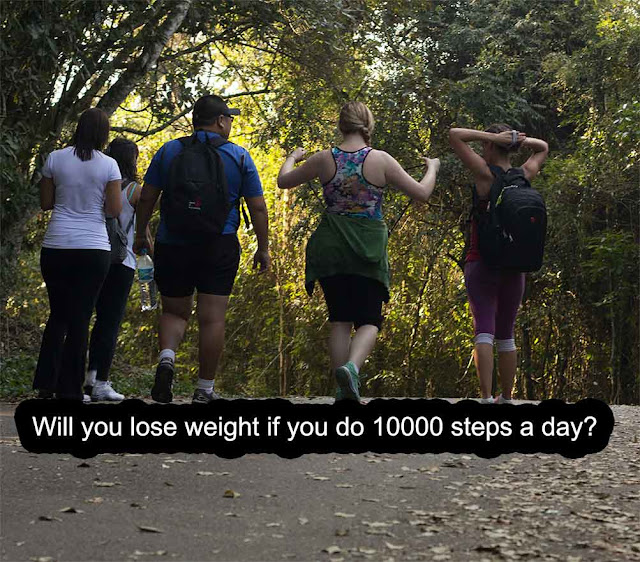 Will you lose weight if you do 10000 steps a day?