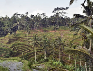 Urlaub Indonesien, viele Aspekte