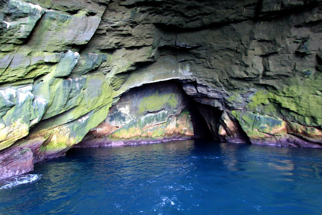 Isole Vestmannaeyjar-Giro in barca