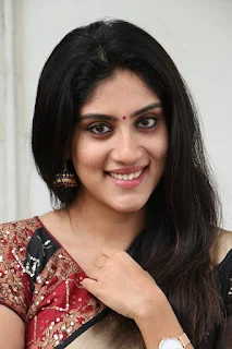 Dhanya Balakrishna Stills at Software Sudheer Success Meet