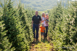 a brunette man, blonde woman, and their two blonde children who are a toddler and a preschooler, walk between rows of pine trees at Riverview Christmas Tree Farm near Canton, South Dakota