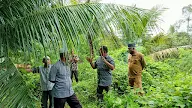 Camat Syamtalir Aron Tinjau Tanggul Krueng Pase di Gampong Pante