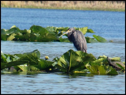 farmer's market & kayaking (108)