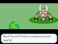 Pokemon Splice Screenshot 08