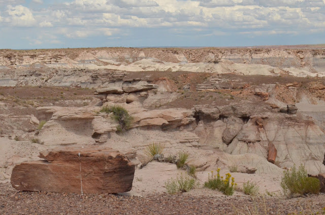 Petrified Forest National Park, Arizona