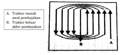 pola tepi tanah