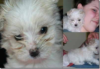 bobby pics