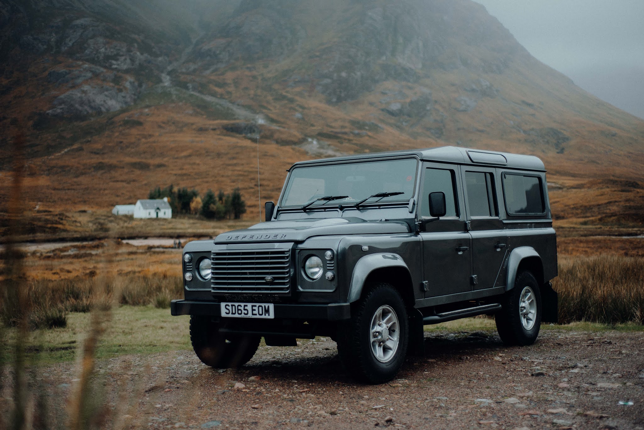 glencoe landrover spaniel defender liquid grain