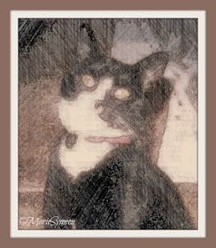caturday art
