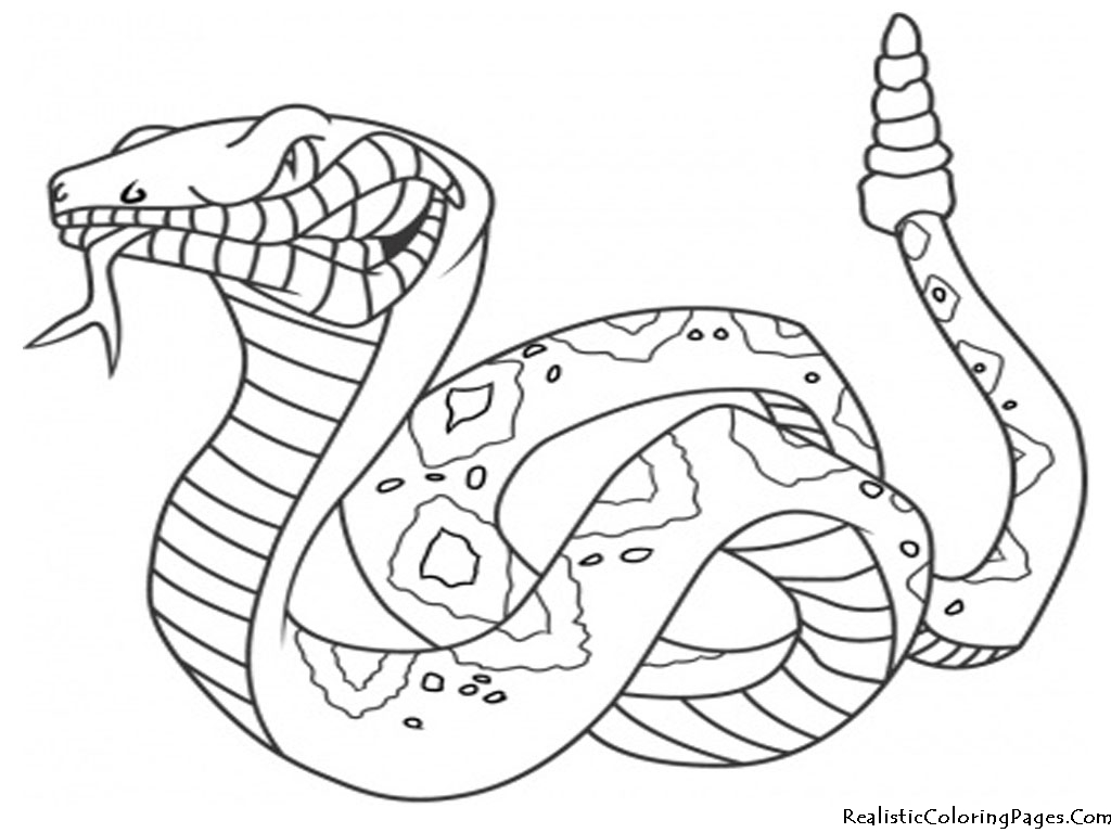 50 Free Printable SNAKE Coloring Pages Huge Collection