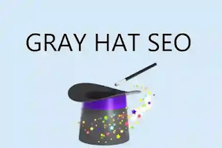 Gray Hat SEO practice lies between White hat and black hat SEO