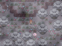 Pokemon Desolation Screenshot 06