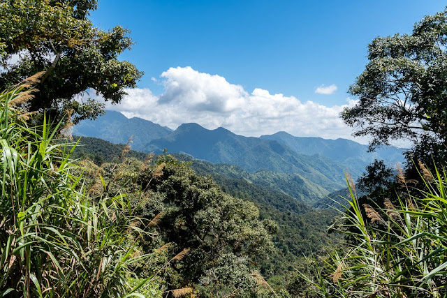 Région de l'Ifugao-Luçon-Philippines