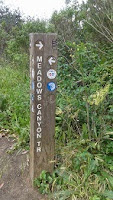 Hiking Tilden Nature Area, Hiking, Tilden Park, Exercise